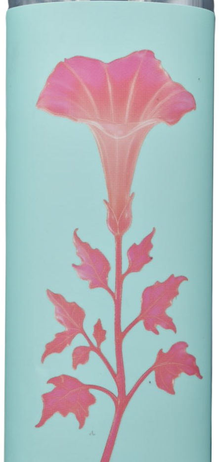 FAKE PLANTS: Guanabana x Strawberry 0,45 л БАНКА (х20)