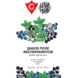 Dark Sour Ale «Дикое поле экспериментов» //collab GUSI 20 л ПЭТ