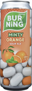MINTY ORANGE 0,45 БАНКА (х20)